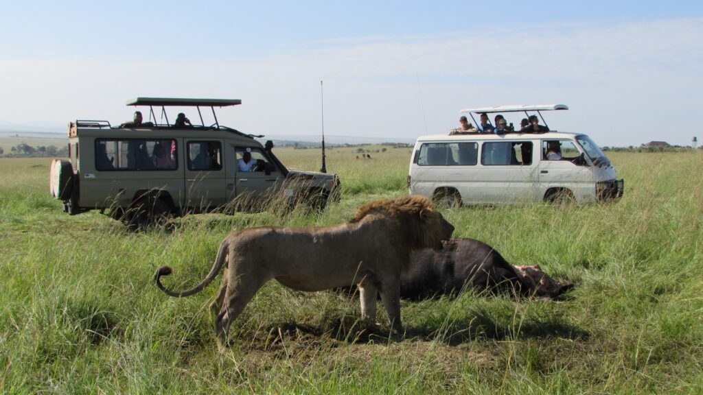 Best Kenya Tanzania Safari