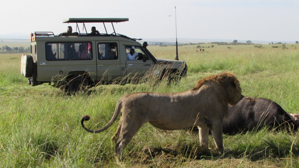 Kenya Tanzania Safaris