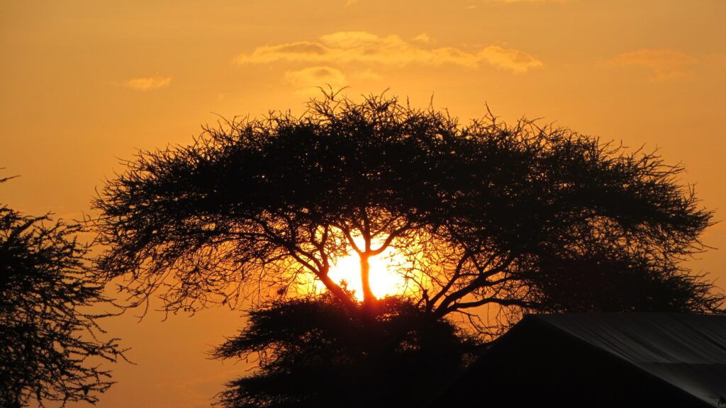 Safari Tour Tsavo East