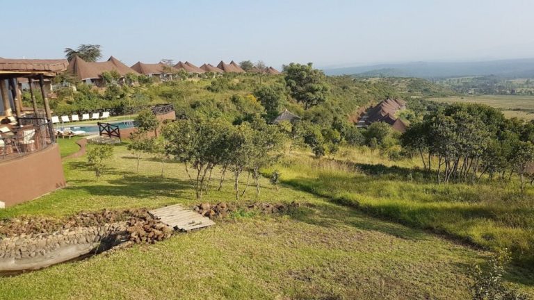 Safari tour in Kenya