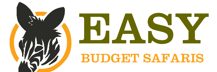 Easy Budget Safaris