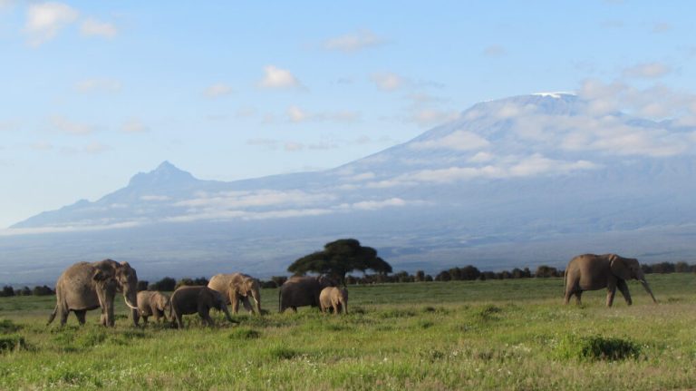 Mount Kilimanjaro Machame Route