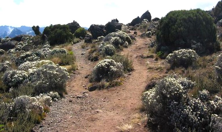 Machame Route Climbing