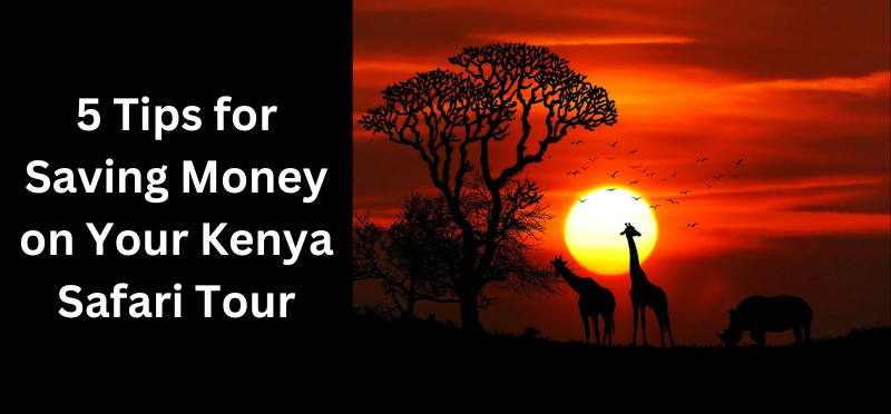 Tips for Saving Money on Your Kenya Safari Tour