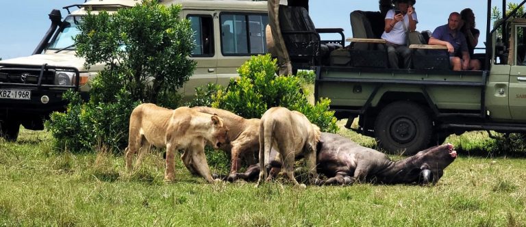 Kenya-Safari-Experience