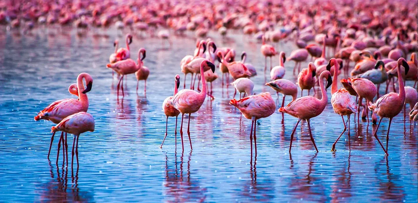 Lake Nakuru National Park