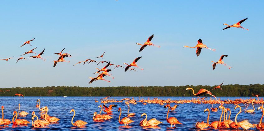 05 Days Best Kenya Easy Safaris Masai Mara