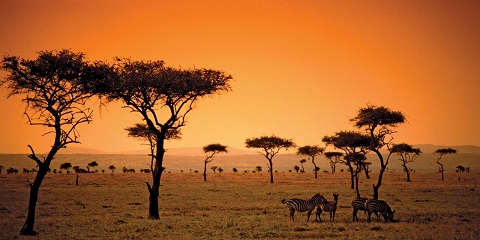 8 Days Perfect Kenya Safari Holiday