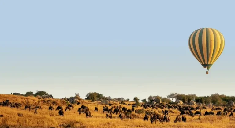 Great Migration Tanzania tours