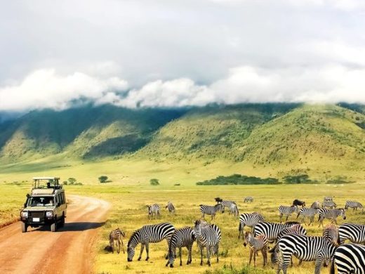 Kenya-Tanzania-Safaris
