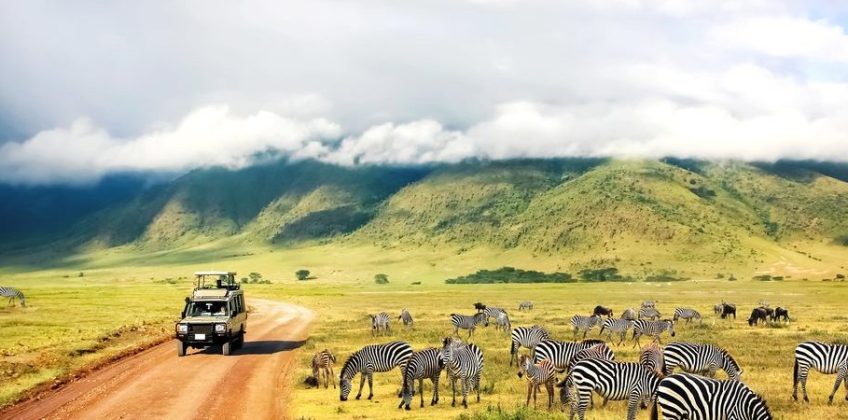 Kenya-Tanzania-Safaris