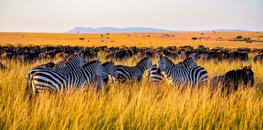 Perfect Kenya Safari Holiday