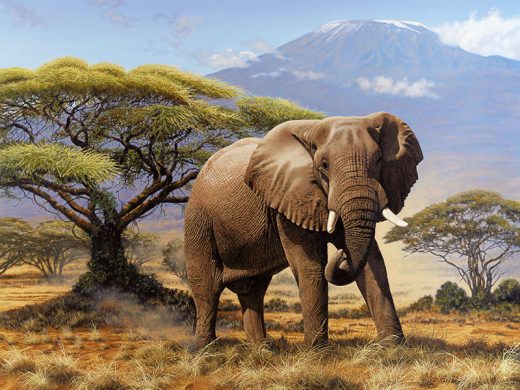 6 Days Epic Private 4x4 Safari Kenya