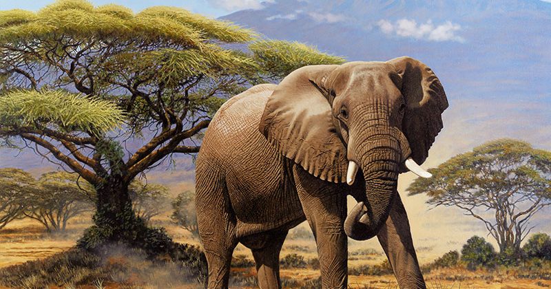 6 Days Epic Private 4x4 Safari Kenya