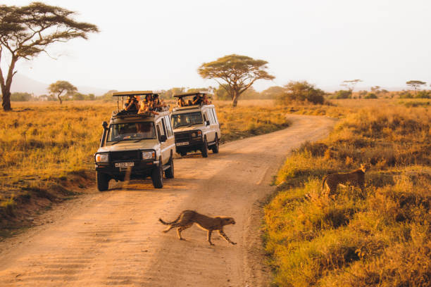 10 Days kenya & tanzania safaris