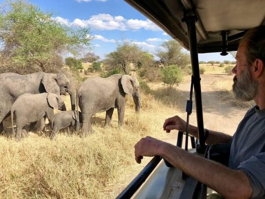 10 Days kenya & tanzania safaris