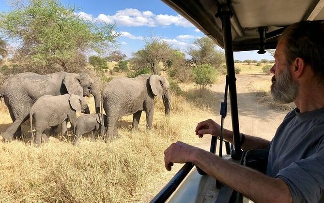 10 Days kenya & tanzania safaris