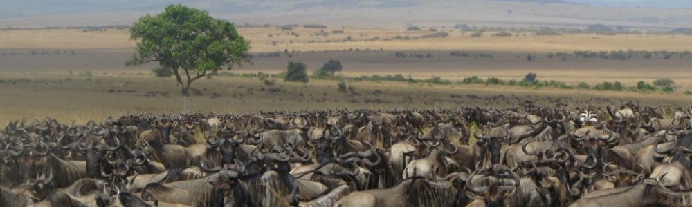 Masai Mara Game Reserve